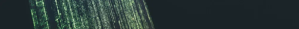 API Security for SaaS Companies in the Dulles Technology Corridor